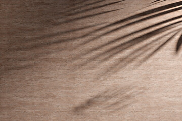 Fototapeta na wymiar Sunshine, tree shadows, various texture backgrounds. 3d rendering.