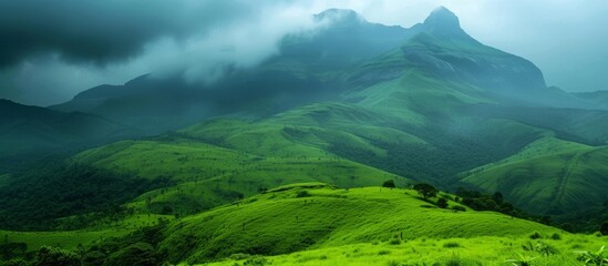 Mount View: A Vivid Green Nature Paradise