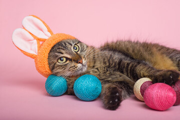 Easter Bunny. Tabby cat with bunny ears and easter eggs on pink background. Funny Easter background.