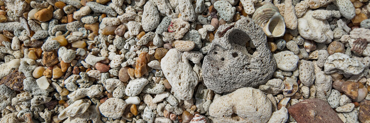A panoramic close-up of a diverse collection of coral fragments and pebbles on a beach, highlighting natural textures and shapes with a place for text