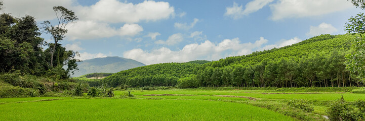 Fototapeta na wymiar Panoramic view of lush green rice fields with a backdrop of forested hills under a partly cloudy sky, showcasing a serene rural landscape