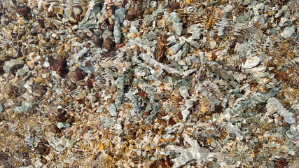 Multi-colored pebbles under clear rippling water create a natural abstract pattern