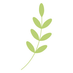 Green twig with leaves. Vector illustration isolated on white background.