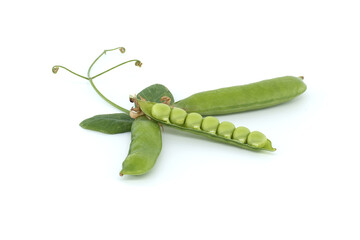 Pea pods surrounded by a green leaf with a pointed tip