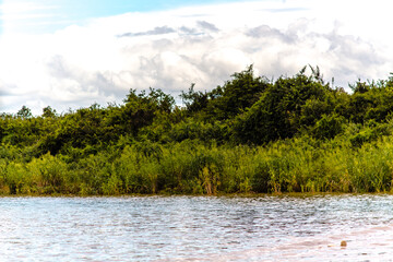 Landscape scene from floating village , Tonle Sap lake, Cambodia.