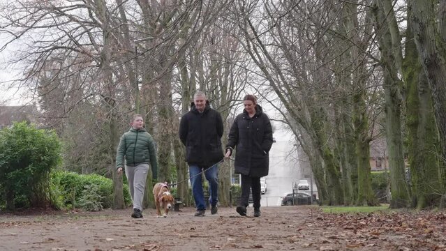 Parents, child and family pet together on afternoon walk in the park
