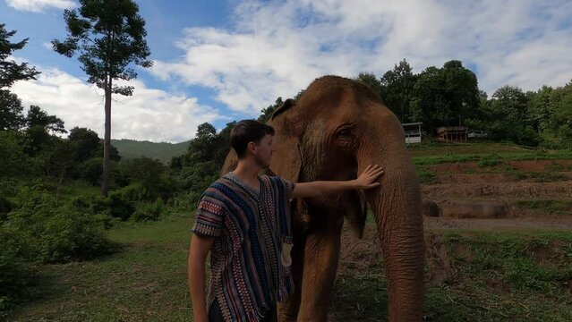 White man in northern Thai shirt walks up and pets elephant appreciating the natural beauty