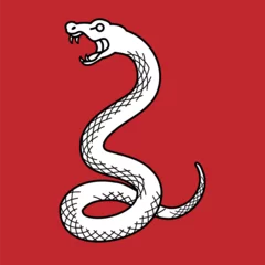 Foto auf Leinwand トグロを巻き牙を剥くヘビ　2025年巳年　年賀状素材　線画 © sayuri_k