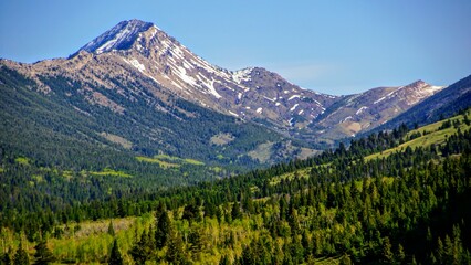 Montana Mountain View