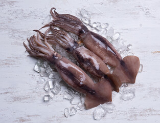 Squids octopus or cuttlefish for cooked food on ice