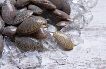 Clams for cooked food on ice