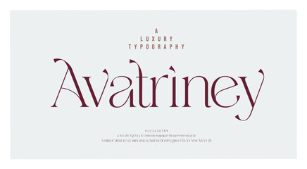 Luxury minimal alphabet letters logo font. Typography elegant wedding logos classic lettering serif fonts decorative vintage retro. vector illustration