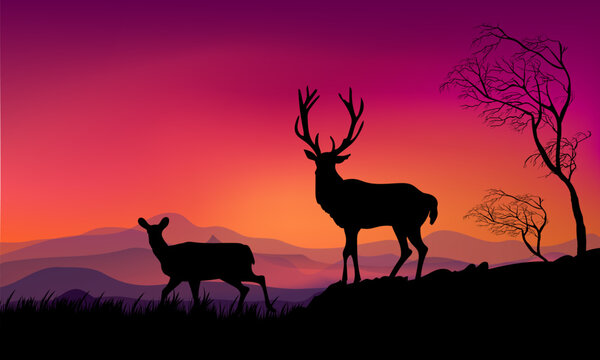 Nature landscape, mountain, hill, trees, on summer view silhouette deer animal vector ilustration  background.