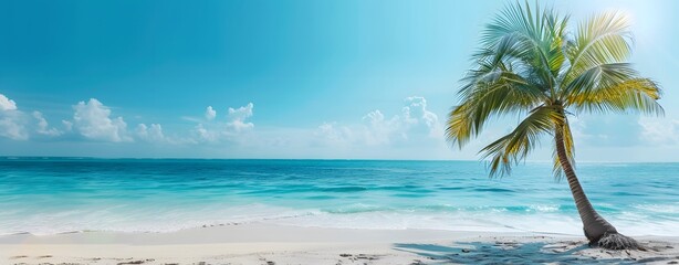 Fototapeta na wymiar Coconut tree on Tropical beach during a sunny day, palm tree. summertime, coastline sandy beach view. copy space, mockup.