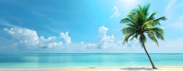 Coconut tree on Tropical beach during a sunny day, palm tree. summertime, coastline sandy beach view. copy space, mockup.