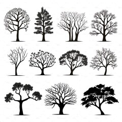 Illustration of silhouette trees set on a white background.