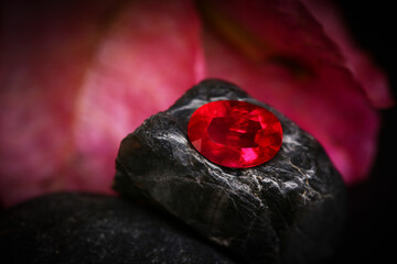 Red rose on black stone, surrounded by the warmth of flames, embodies the beauty of nature in a...