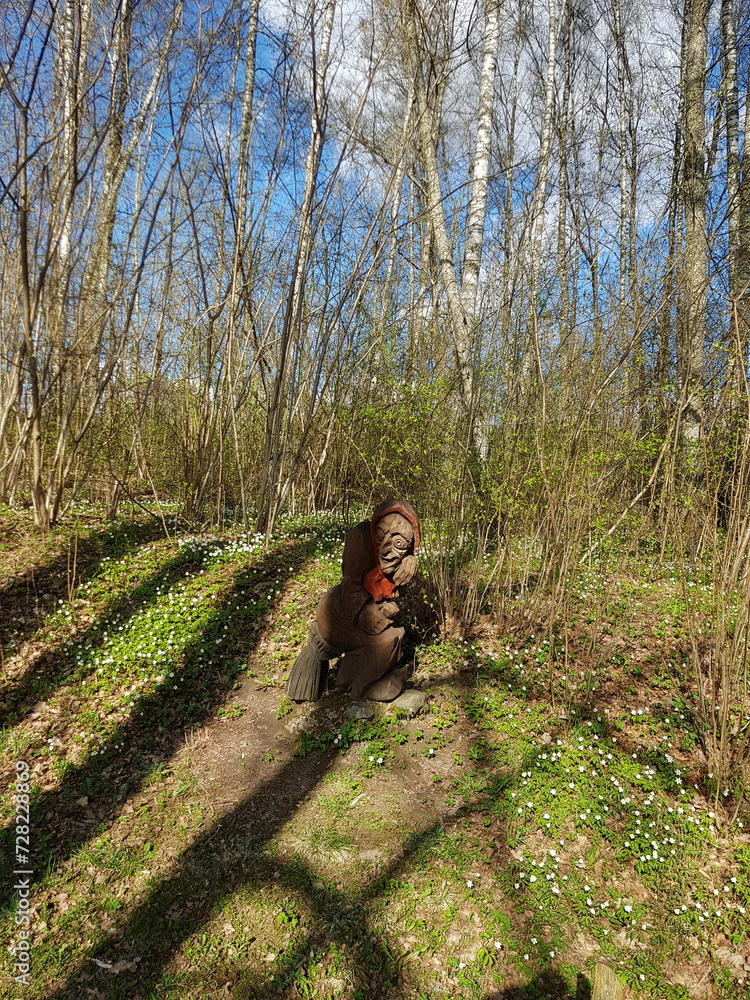 Wall mural hiker in the forest