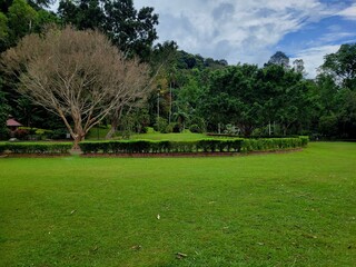 Botanical Garden at Penang Island in Malaysia