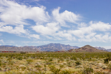 Fototapeta premium Desert in Arizona with green bushes and cacti on a sunny day with blue sky and white clouds. Nature near Phoenix, Arizona, USA