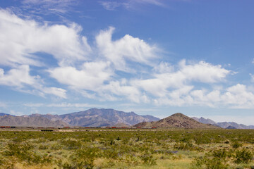 Desert in Arizona with green bushes and cacti on a sunny day with blue sky and white clouds. Nature near Phoenix, Arizona, USA