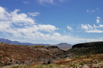 Desert in Arizona with green bushes and cacti on a sunny day with blue sky and white clouds. Nature near Phoenix, Arizona, USA