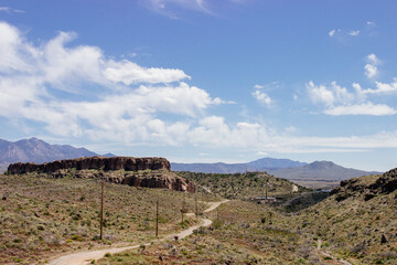 Desert in Arizona with green bushes and cacti on a sunny day with blue sky and white clouds. Nature near Phoenix, Arizona, USA