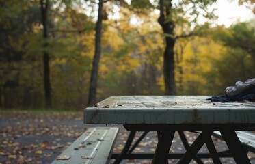 Empty wooden picnic table in autumn park, serene outdoor scene