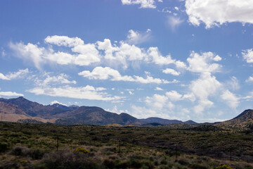 Naklejka na ściany i meble Desert in Arizona with green bushes and cacti on a sunny day with blue sky and white clouds. Nature near Phoenix, Arizona, USA