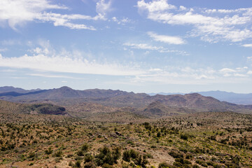 Desert in Arizona with green bushes and cacti on a sunny day with blue sky and white clouds. Nature...