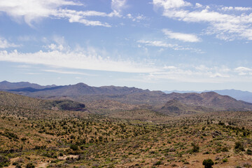 Desert in Arizona with green bushes and cacti on a sunny day with blue sky and white clouds. Nature near Phoenix, Arizona, USA