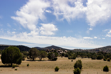 Desert in Arizona with green bushes and cacti on a sunny day with blue sky and white clouds. Nature...