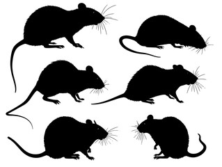 Set of silhouette of a mouse - vector illustration.