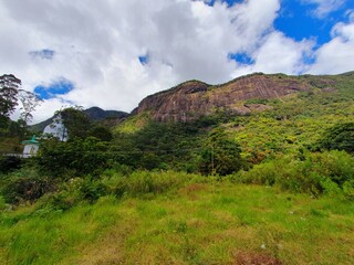 rock mountain covered wth trees and grass with a view of clear sky