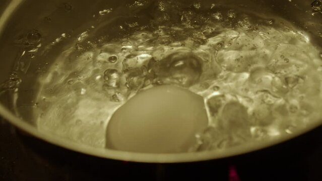 Kitchen close up: One egg cooks in pot of boiling water on stove