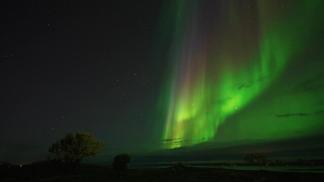 A magnificent display of the northern lights in the dark winter sky. Panoramic pan shot.