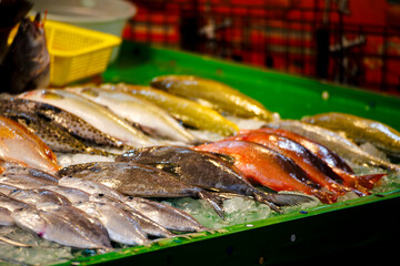 a market stall filled with various fresh, vibrant-colored seafood