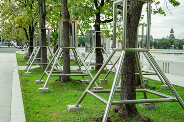 Stainless steel tree support enhances tree stability in outdoor landscaping. Support system...