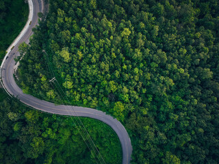 Aerial view of dense green trees in forest capture CO2 and curve highway road. Green trees...