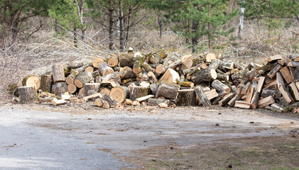 Sawn firewood in the yard
