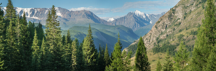 Mountain landscape, forest and snow-capped peaks, panoramic view