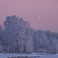 Winter landscape with trees.
An hour before sunrise in extreme cold and hoarfrost on trees.
