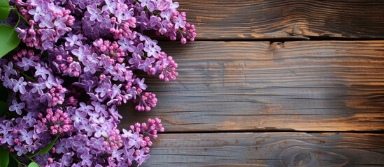 Beautiful Lilac Flowers on a Wooden Background: A Scenic Display of Beautiful Lilac Flowers Against a Gorgeous Wooden Background