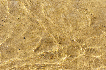 水の揺らめきが光る川底