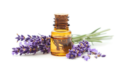 Bottle of lavender essential oil and fresh flowers on white background.