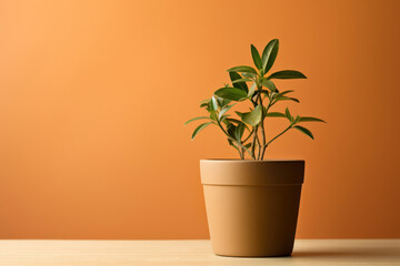 Fototapeta premium Minimalist photo of a plant in a recycled container on a solid earthy brown background, emphasizing reuse in gardening