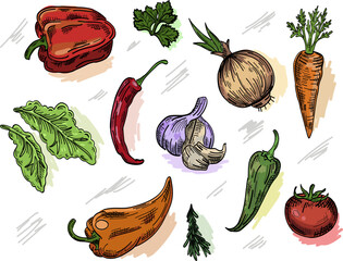 hand-drawn pattern of vegetables and herbs