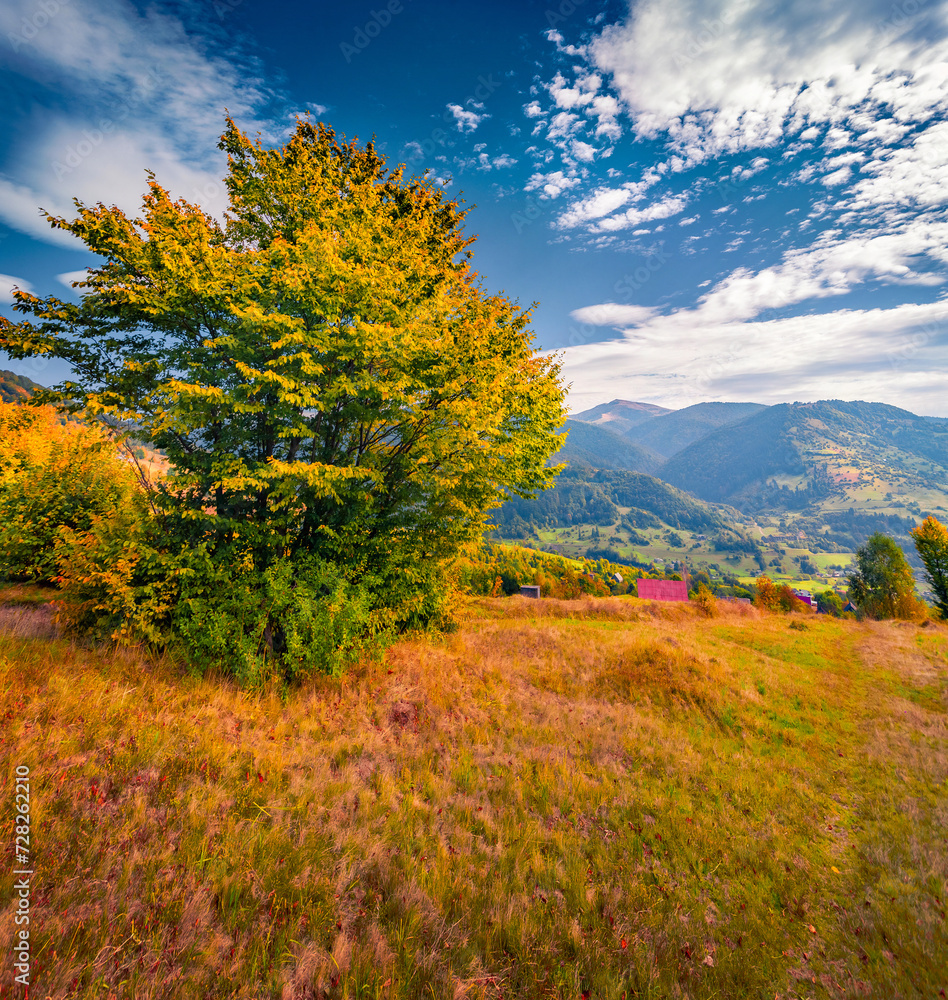 Wall mural kvasy village at september. spectacular autumn scene of carpathian village with red roof house and c