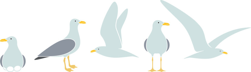 Seagull logo. Isolated seagull on white background. Bird
