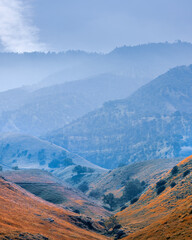 Scenic Gorman hills in California caught in fog during spring time.